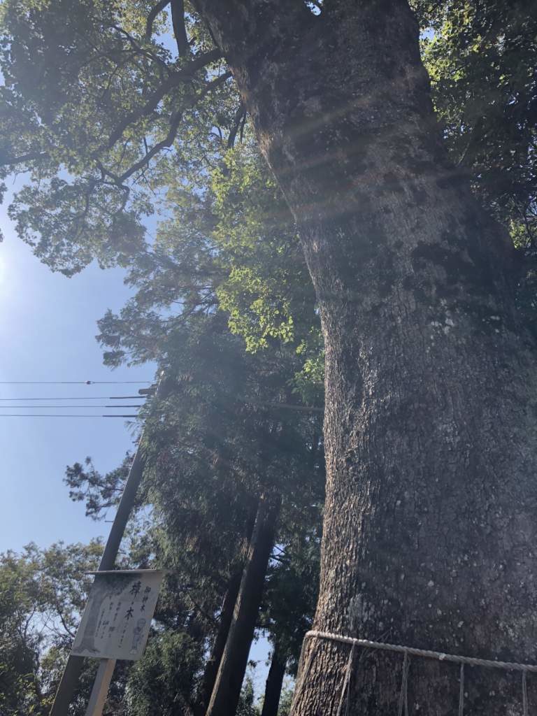 臼杵下北地区　ウォーキング小径を歩こう会