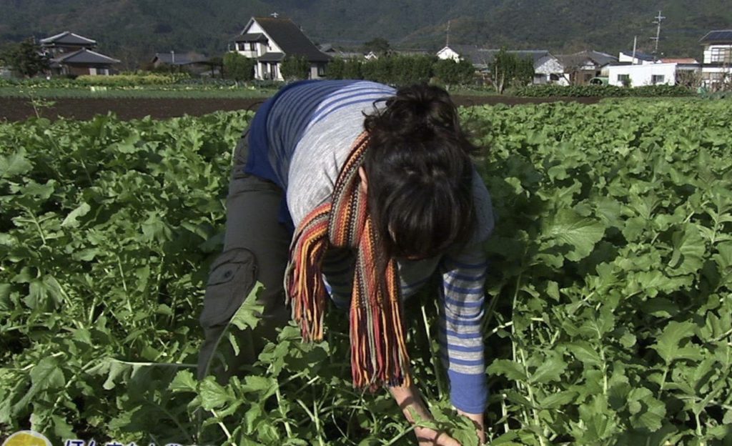 6月議会質問　学校給食についてこだわってほしい！