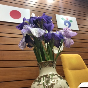 臼杵市議会6月定例会