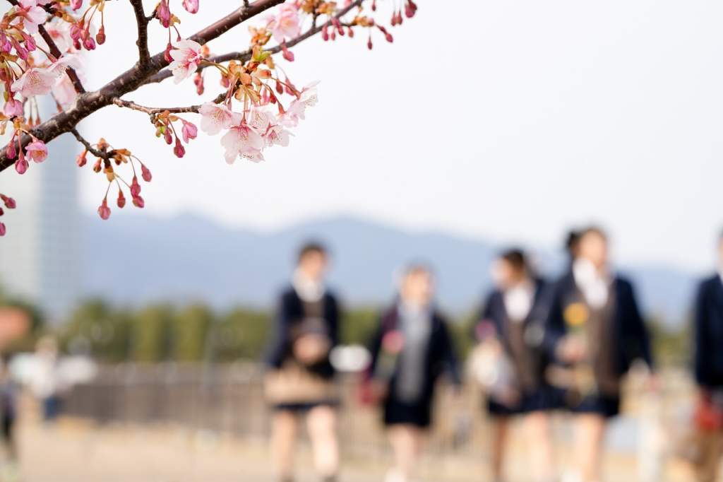 制服に関する考え　臼杵市中学校の制服変更