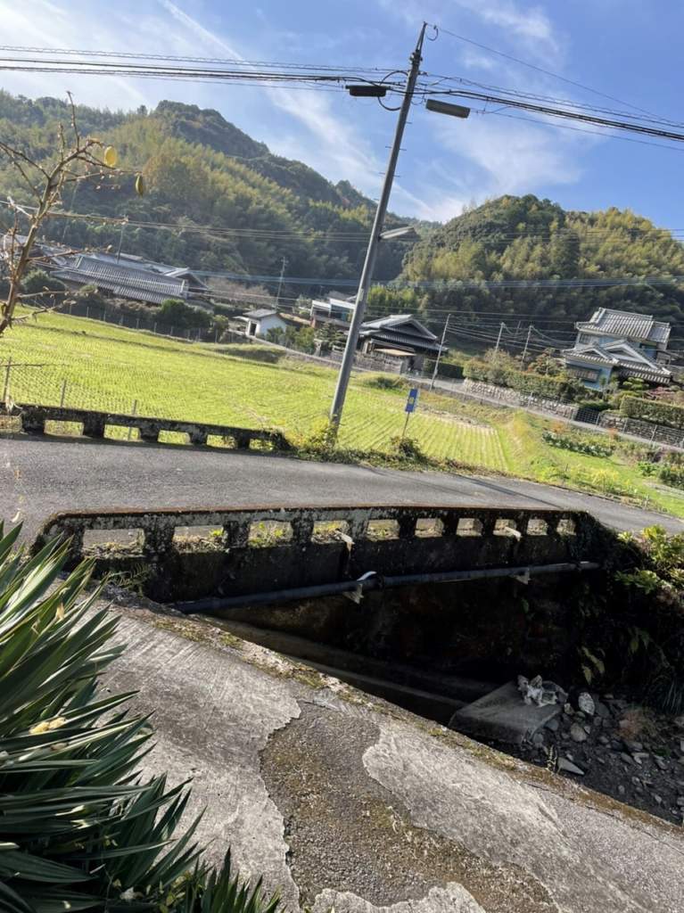 下北地区ウォーキング大会に参加しました