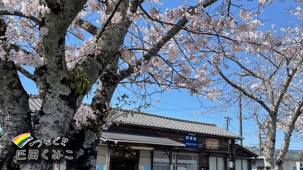 JR熊崎駅　桜を眺めながら