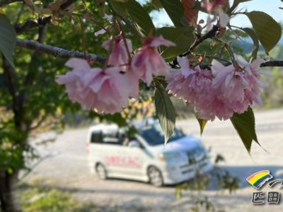 4月19日は野津町をまわりました