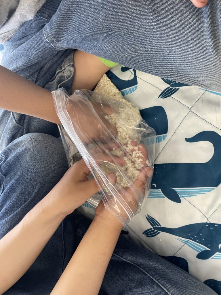 うすき生活学校Musubi 親子味噌づきり体験