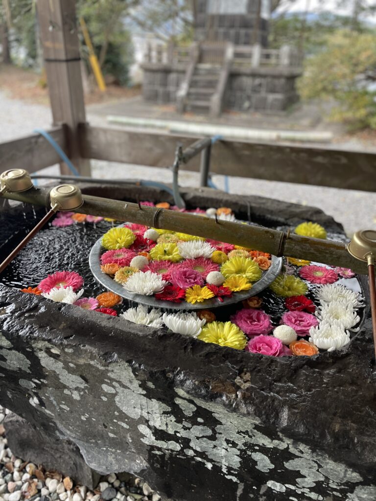 三島神社に初詣　大吉