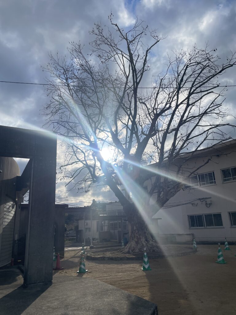 下ノ江小学校読み聞かせ　すずの会